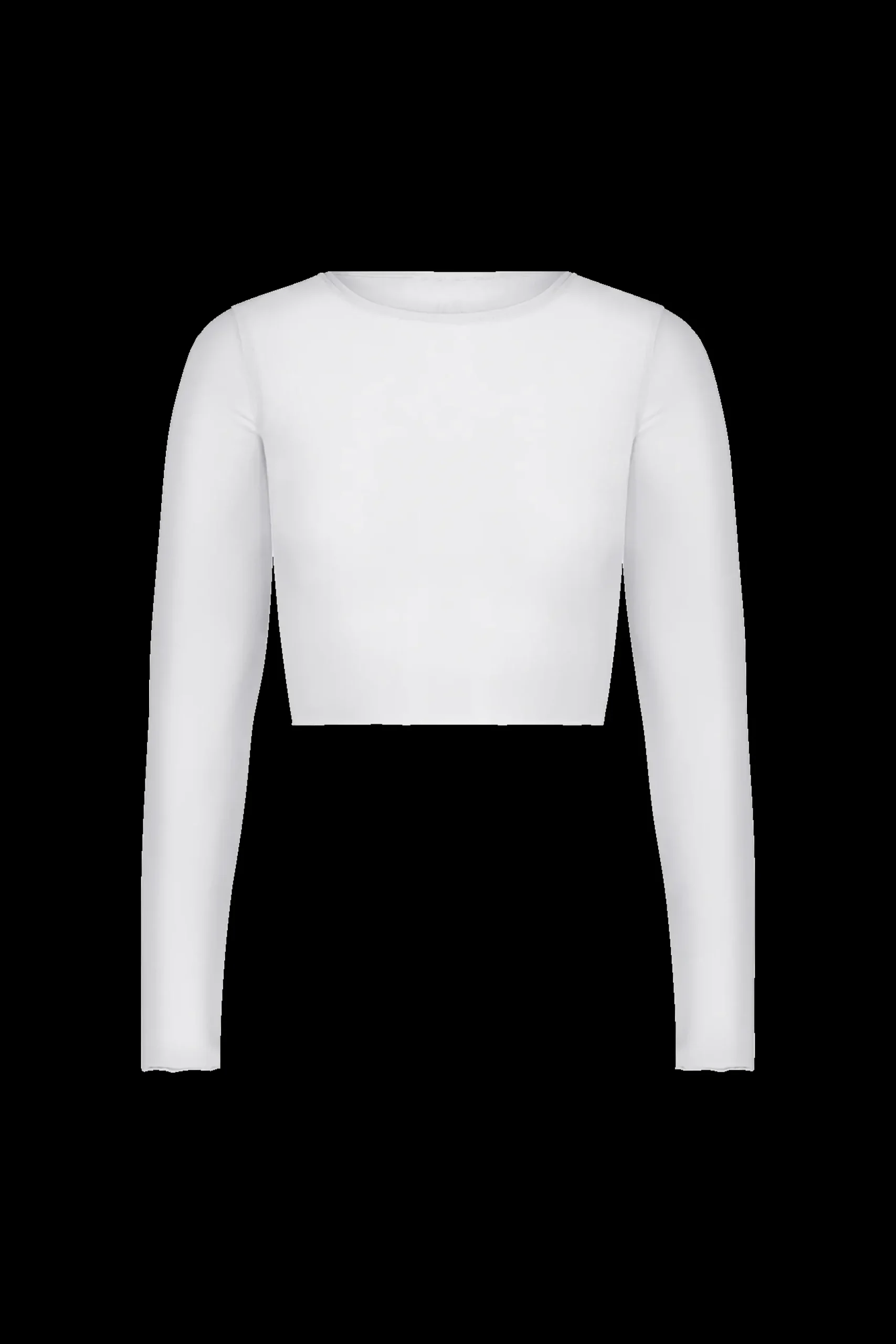 Caroline Mesh Crop Top